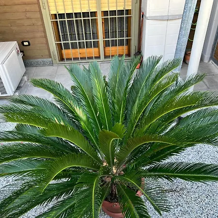 Gino Cervi 23 Appartement